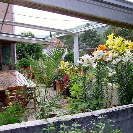 La Maison Rose Saillans  Zewnętrze zdjęcie